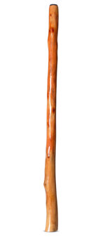 Natural Finish Didgeridoo (TW1780)